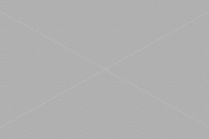 consectetur adipiscing elit